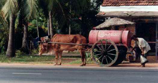 Gefahrguttransport mit dem Esel 2.JPG (19KB)