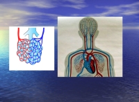 Gesloten ruimte[1]_ppt