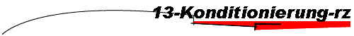 13-Konditionierung-rz