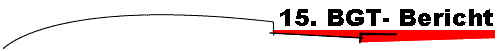 15. BGT- Bericht