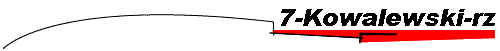 7-Kowalewski-rz