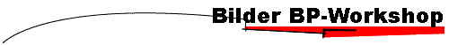 Bilder BP-Workshop