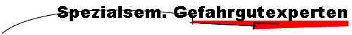Spezialsem. Gefahrgutexperten