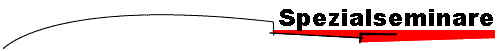 Spezialseminare